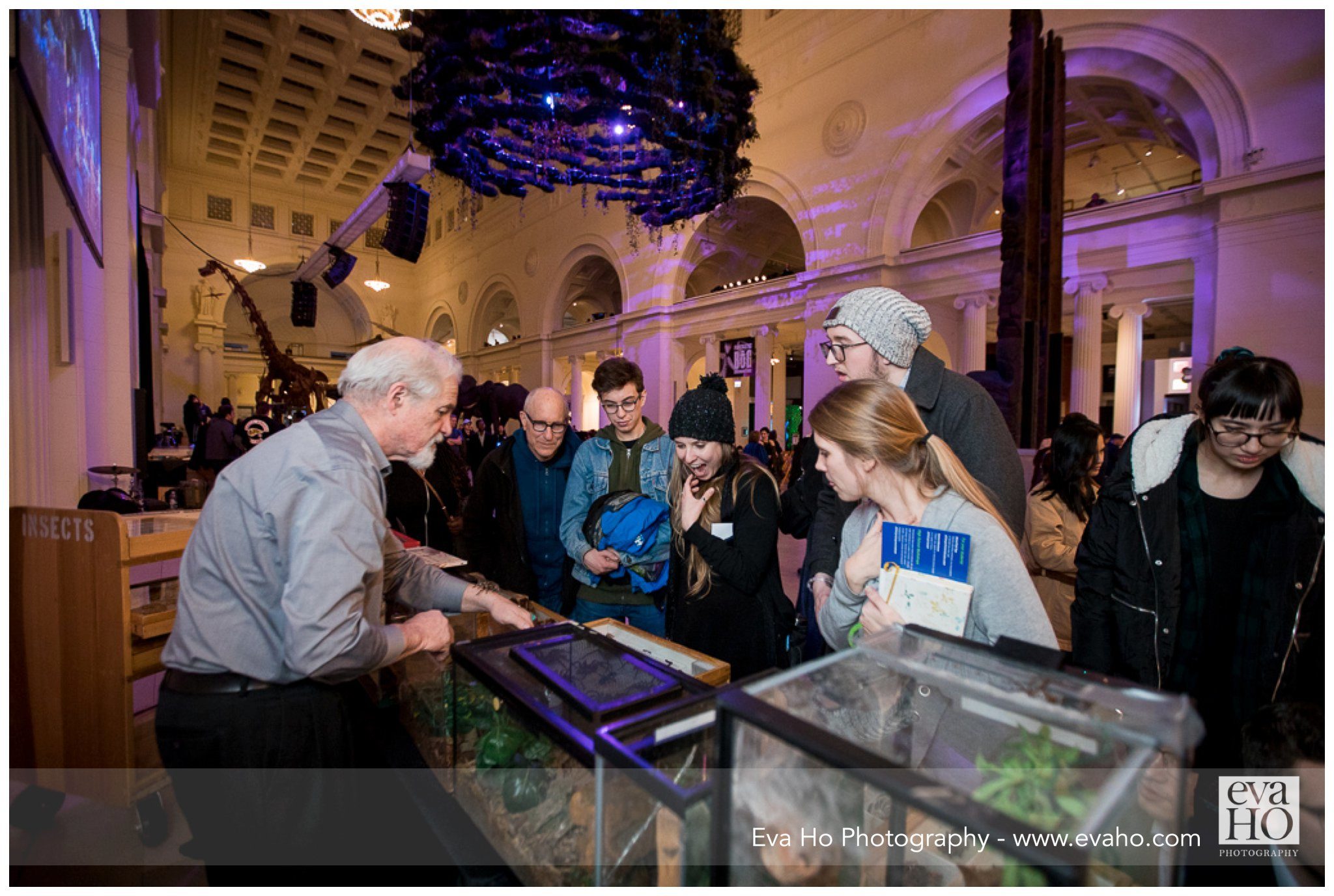 guests excited to see exhibits at Night of Ideas, Field Museum