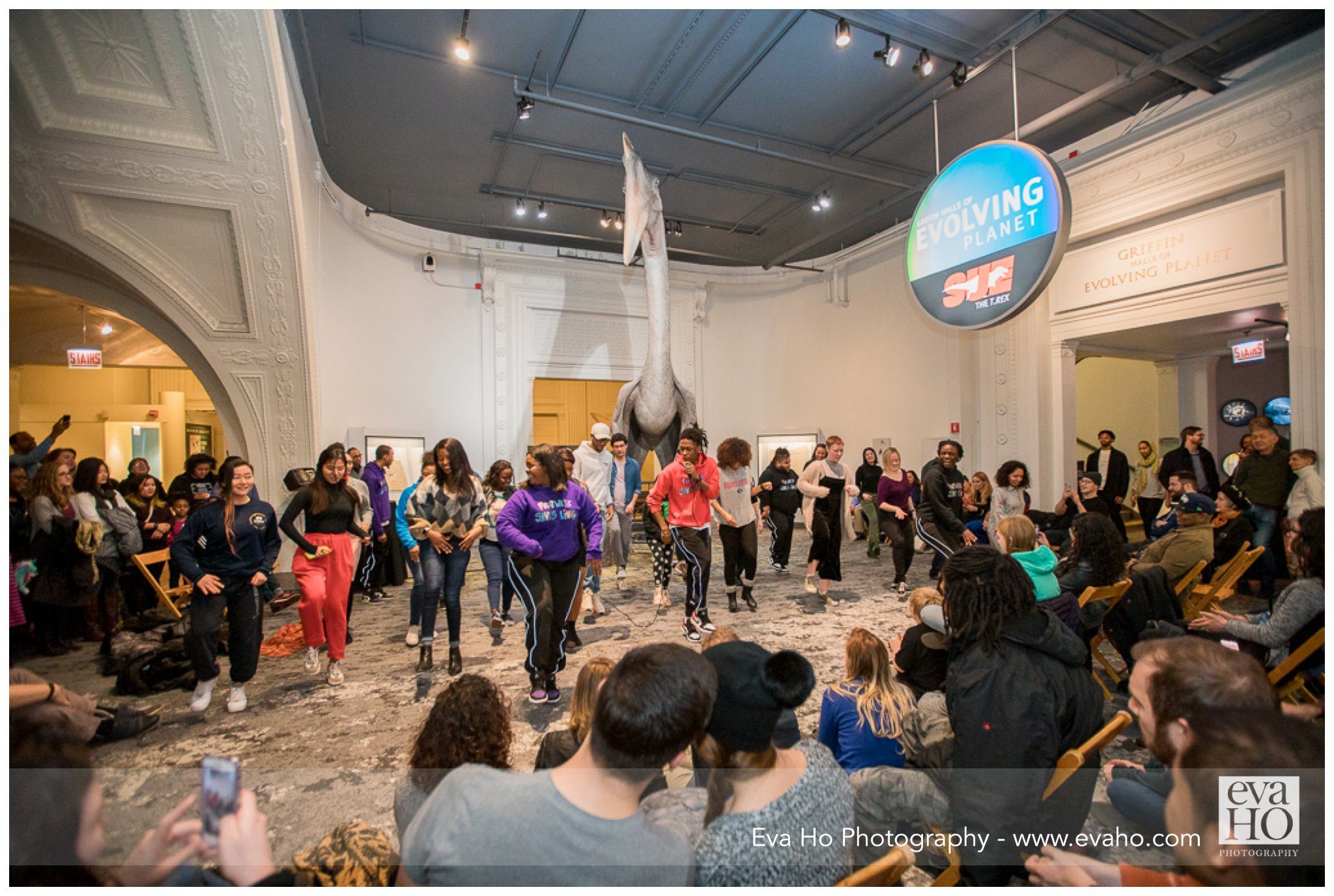 movement group performing at Field Museum