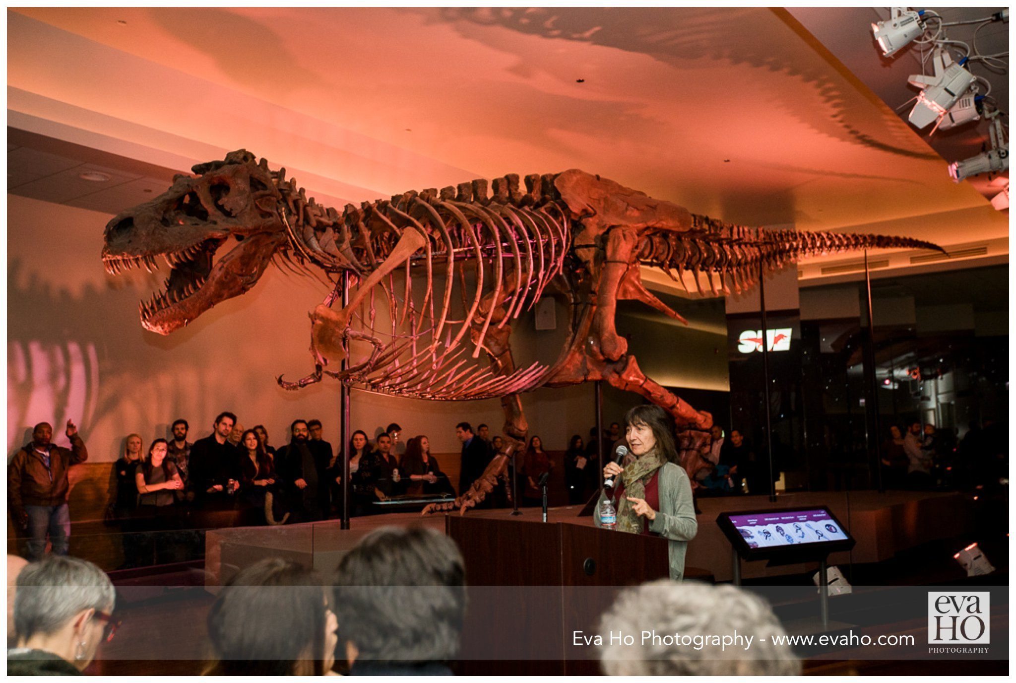 speaking amongst the dinosaurs at Night of Ideas