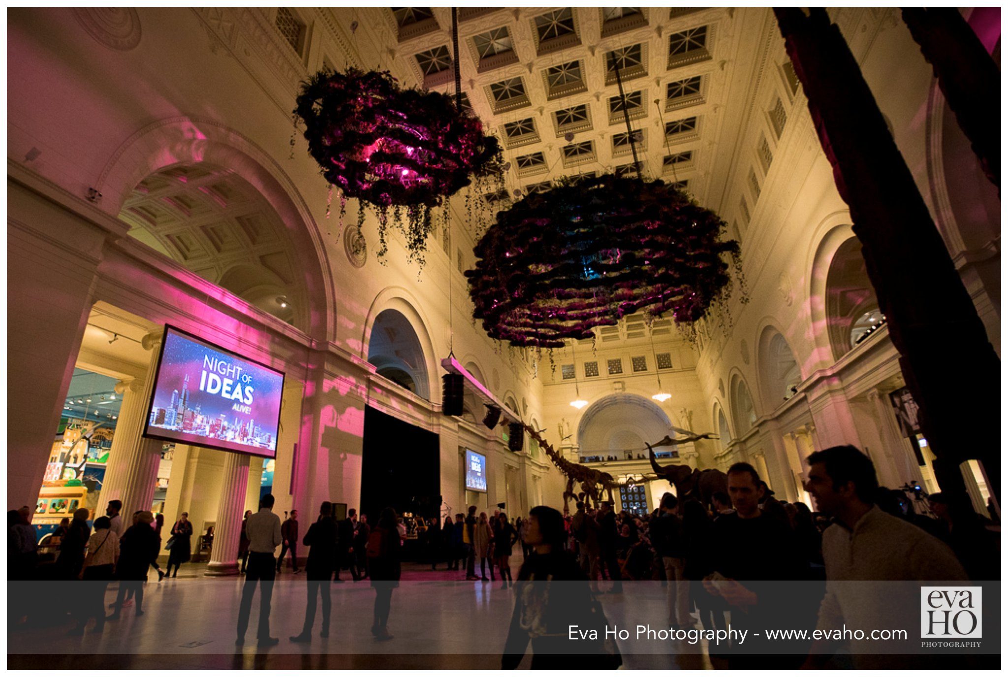 guests at the Night of the Museum Alive Field Museum