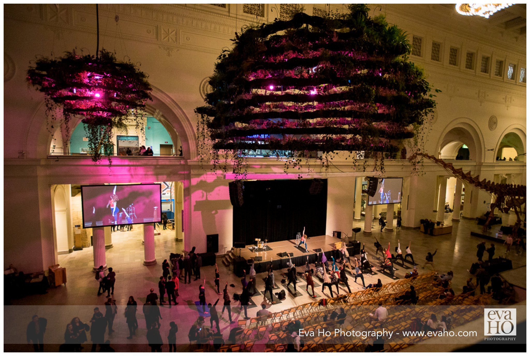 yoga at Night of Ideas Alive, Field Museum